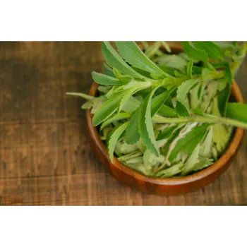 Natural Dry Stevia Leaf